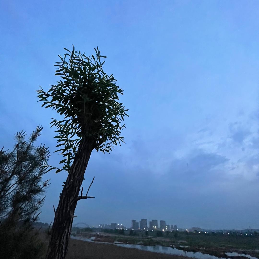 故事落幕了。（冲刺萨武）