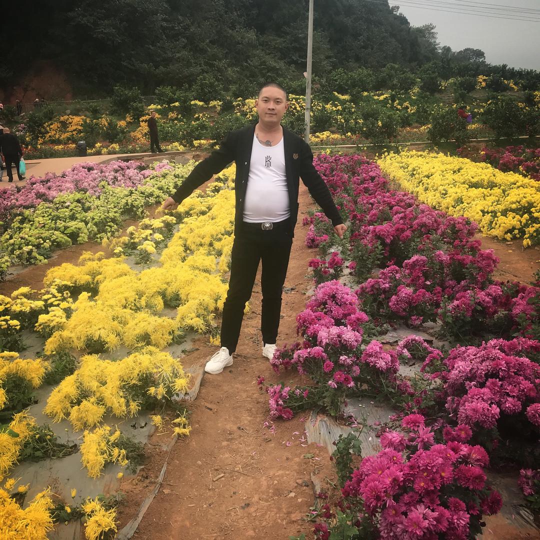 ༺༃三花༒劉༃༻ 𓆡𓆝𓆟𓆜𓆞