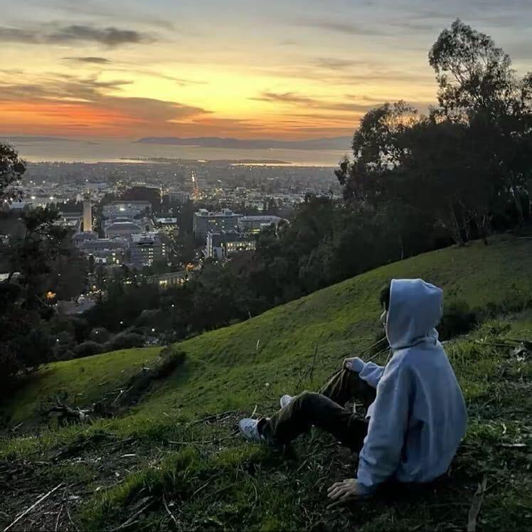 AAA专业套狗王师傅（18年套狗经验）