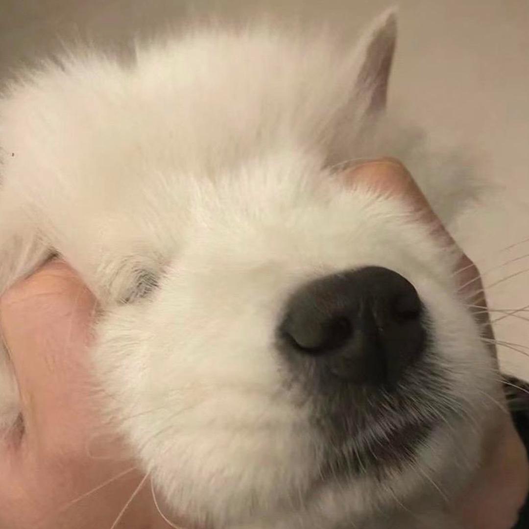 Liu