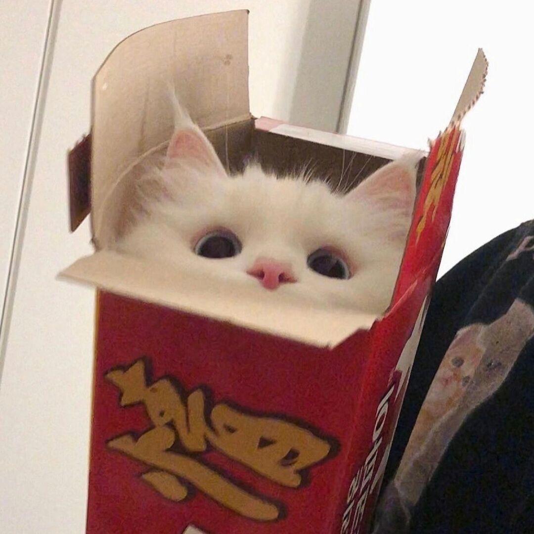 小澈