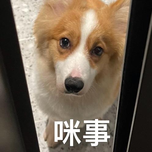 奇奇怪怪🤪