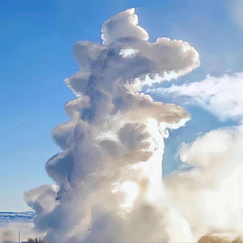 爱炫西红柿