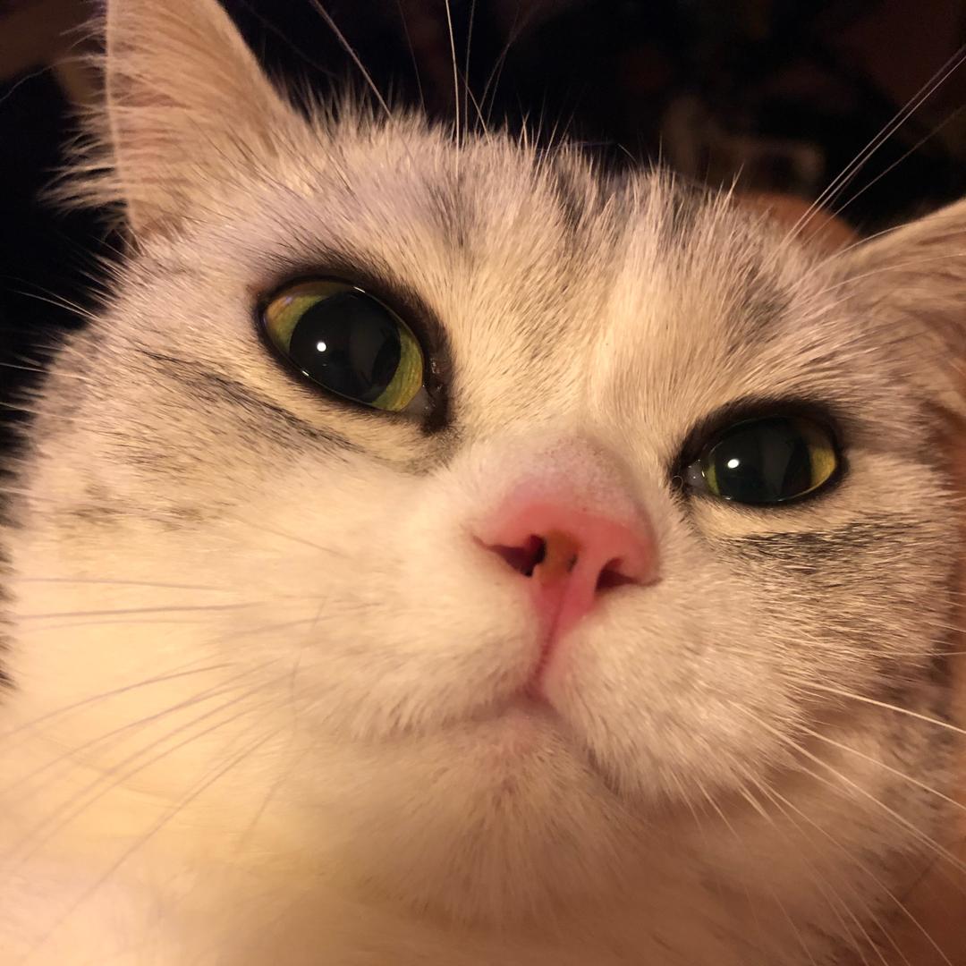 贵龙家具布眠床垫厂家批发