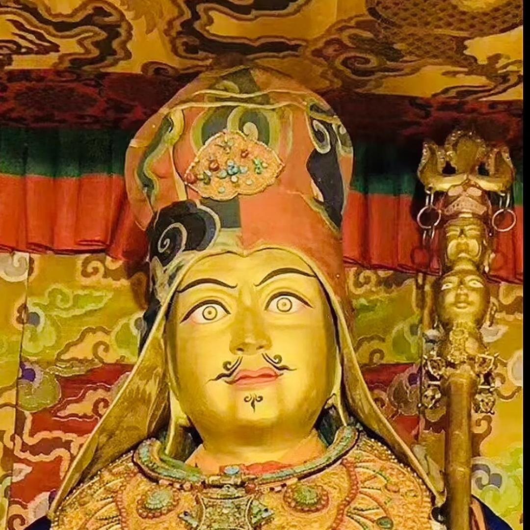 高眼熊🪴🪴🪴🌼