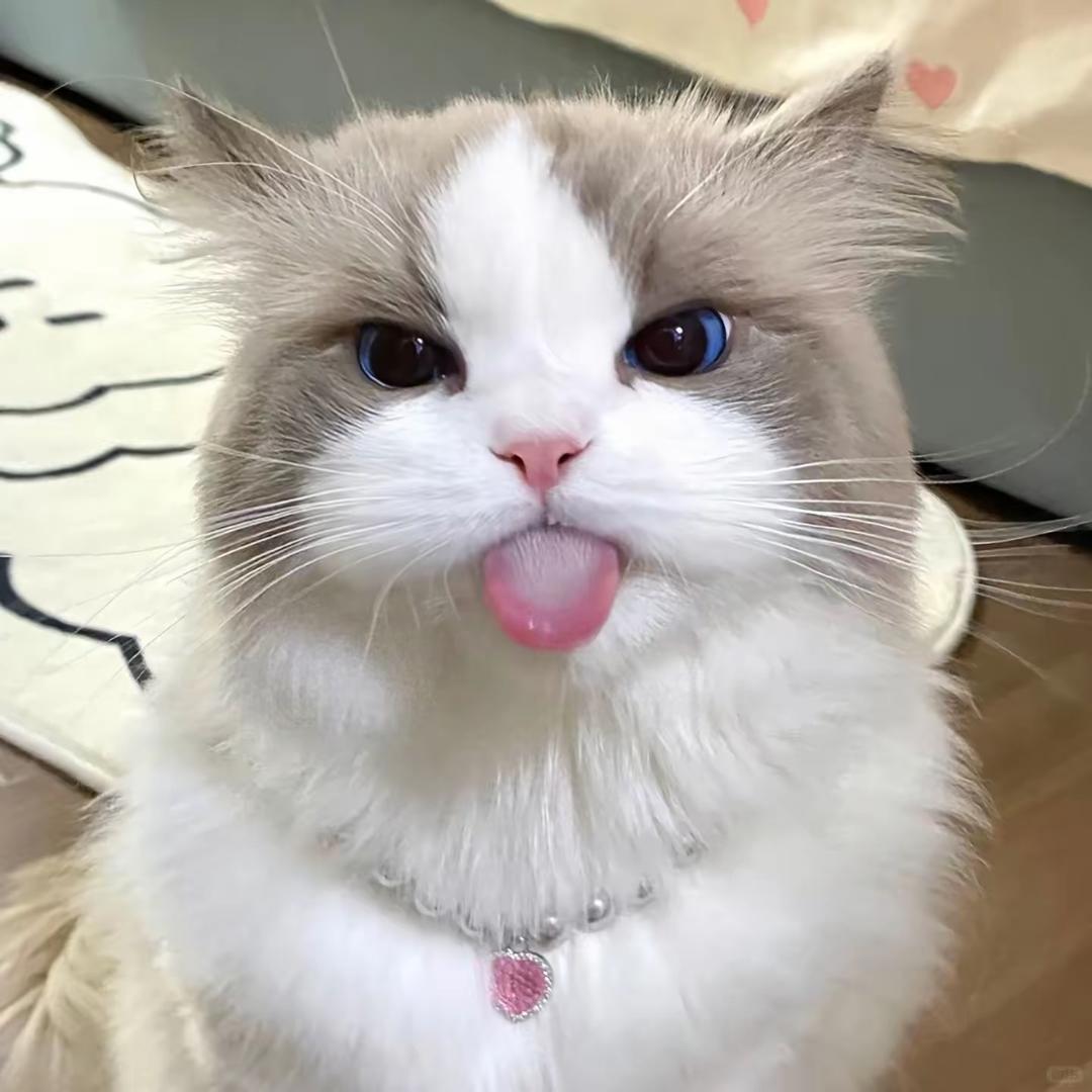 悲伤鸡蛋皮
