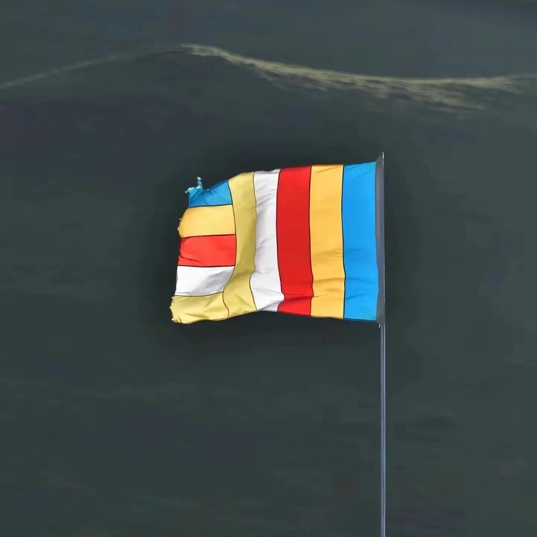 黑哥