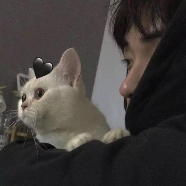 Yྂ鹏