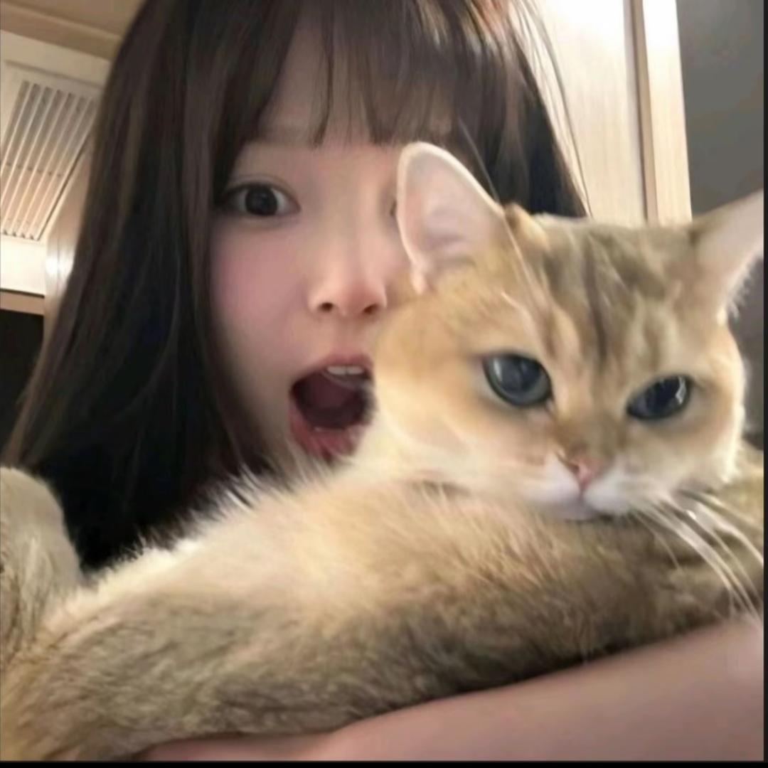 丹 妮