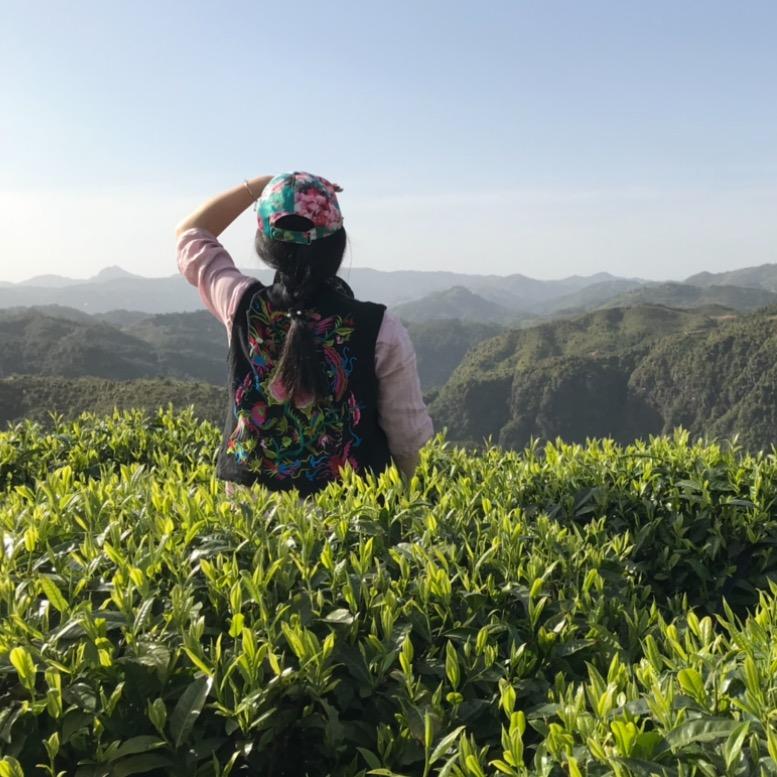一茶夕