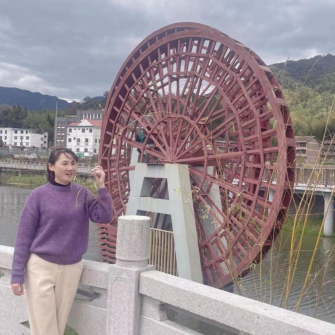 林的文静