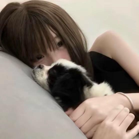 龙里个龙