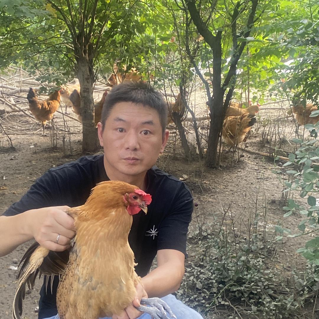 阿飞农场