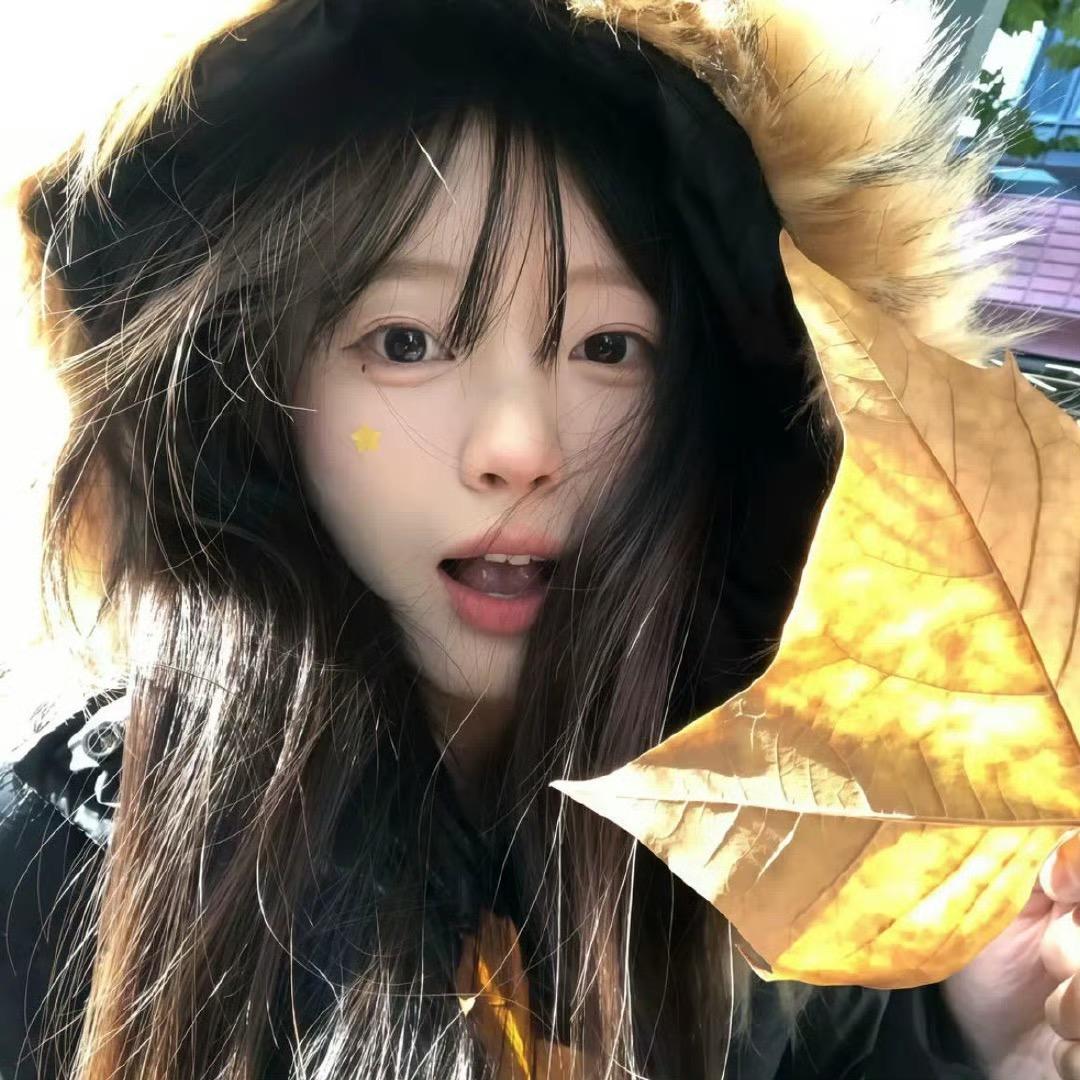 凌硕数码