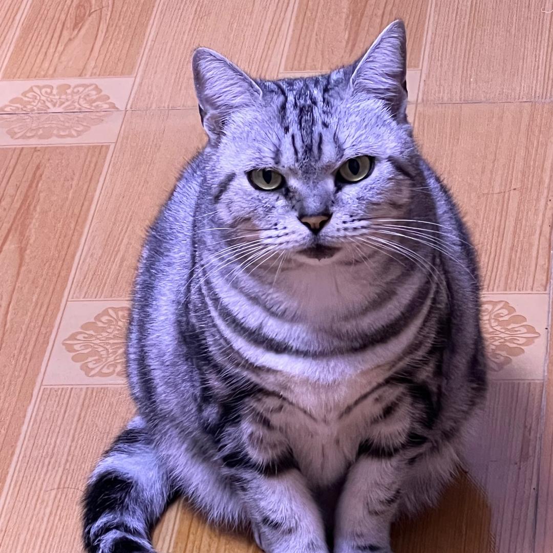 山石弟弟