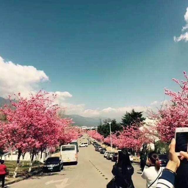 三冬四夏