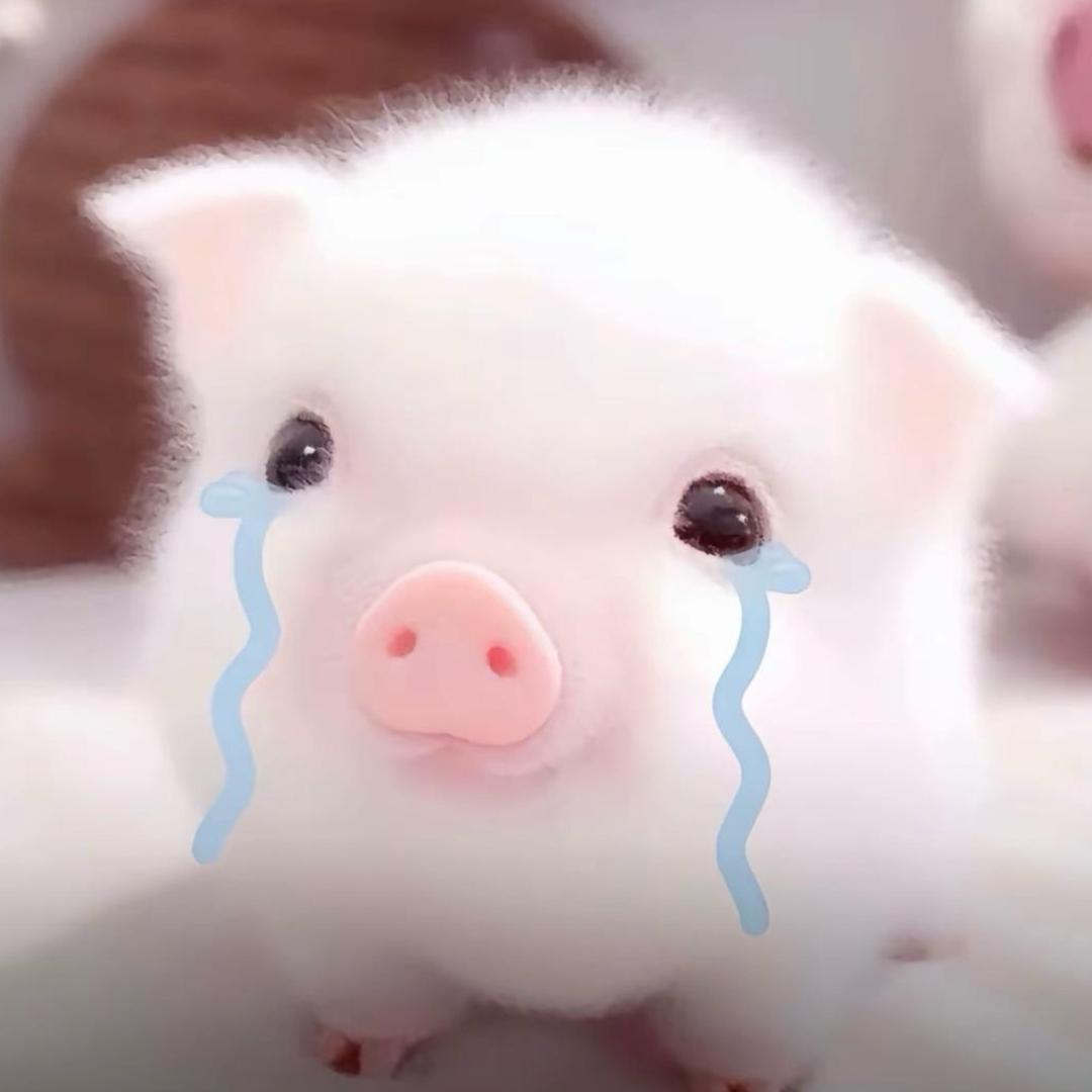lop