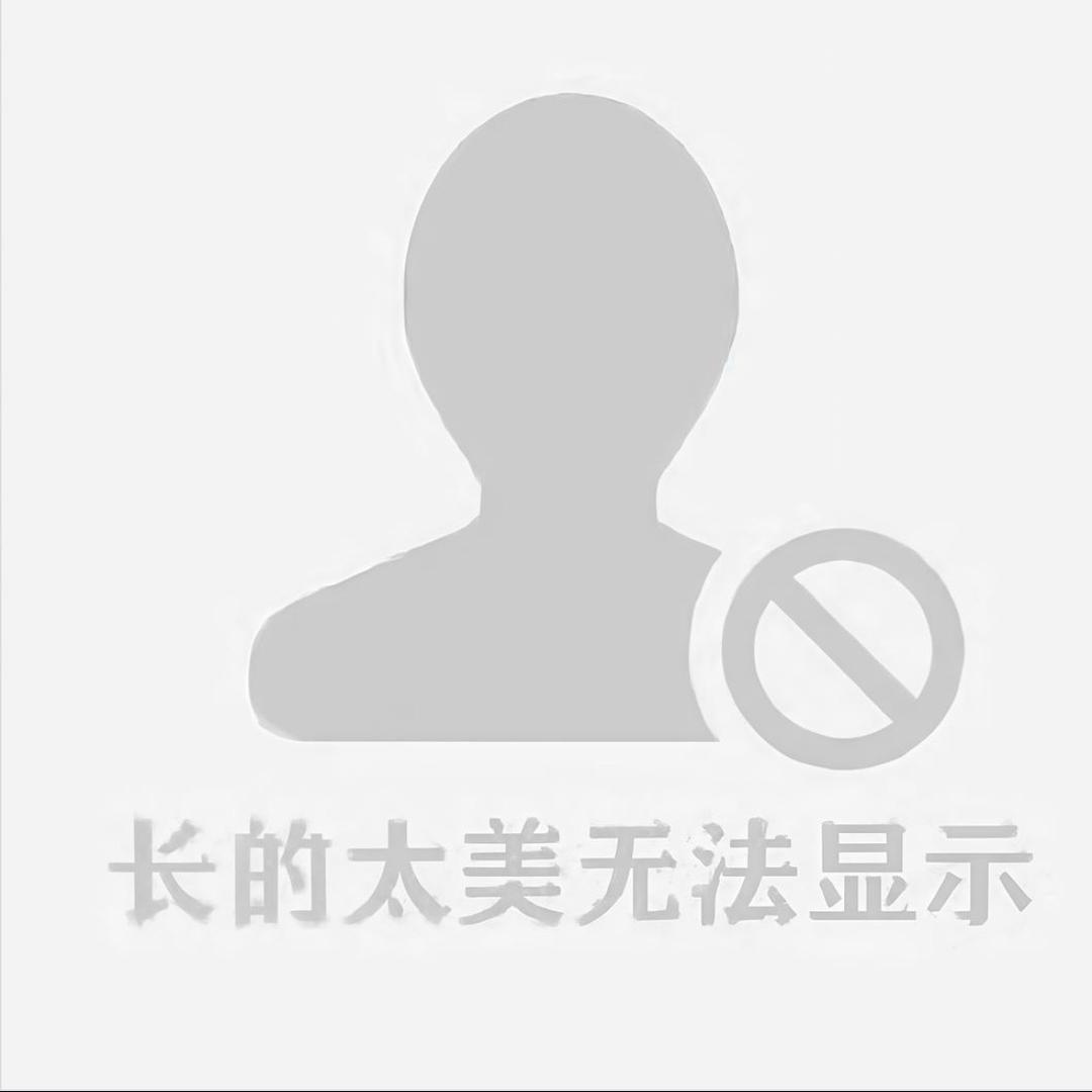 上网的人