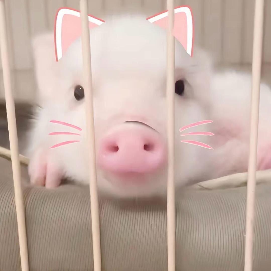好想重生一次