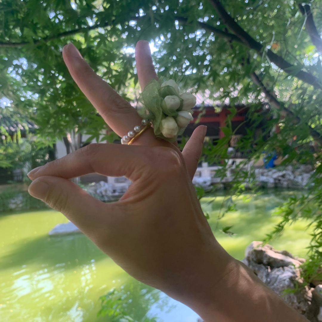 桃花源游记