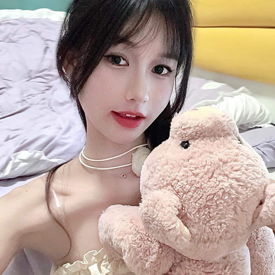 你见我的熊熊了吗🧸