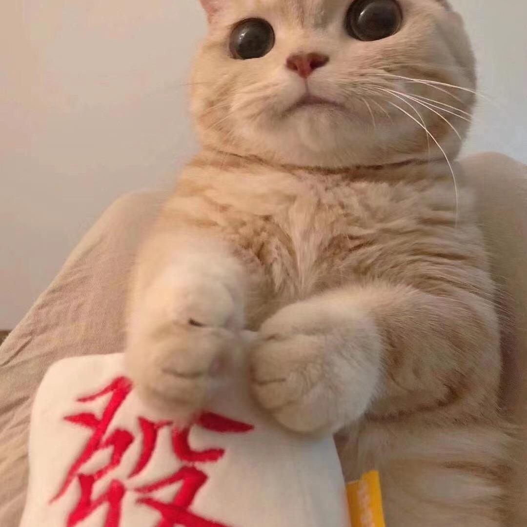 @叫我培培姐