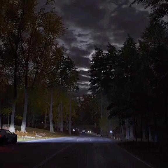 🐯荔枝味汽水🥤