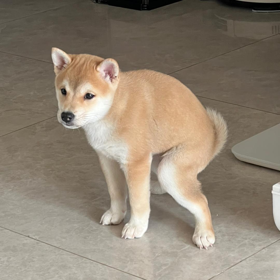 捏捏捏走你的心