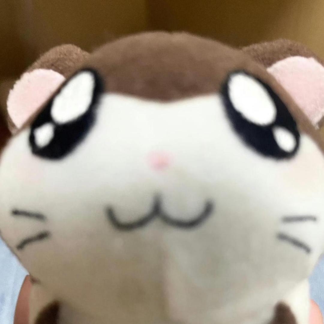 布布