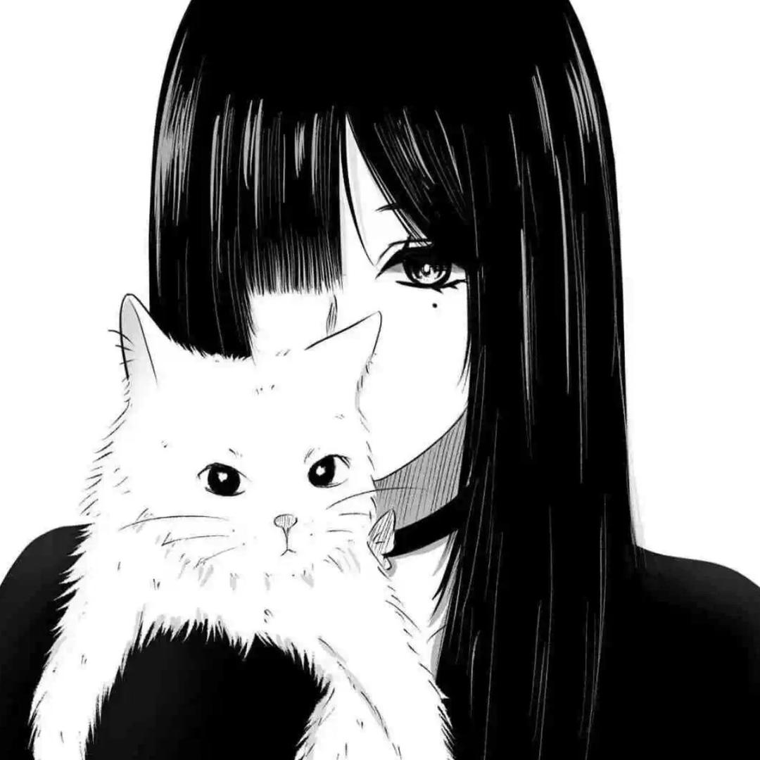 豆