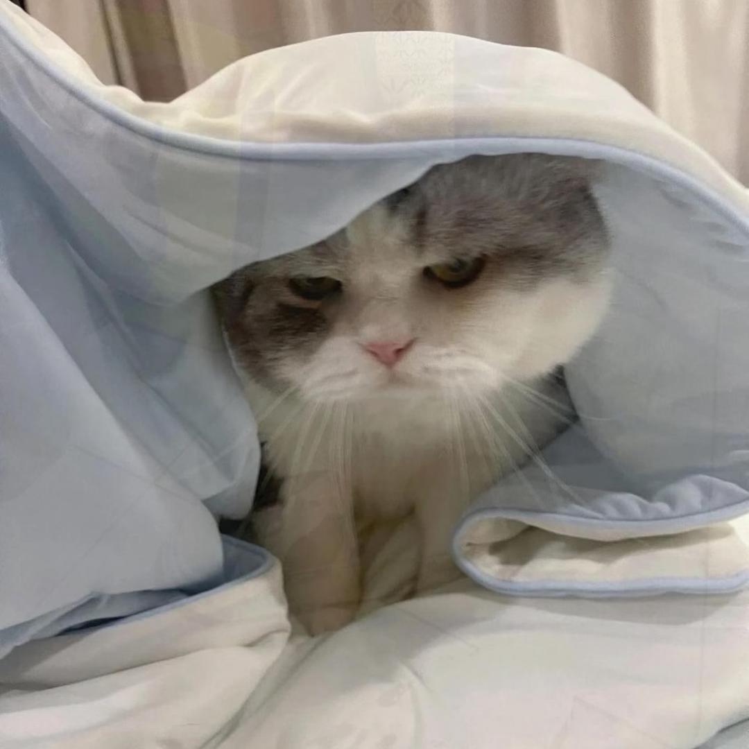 竹子