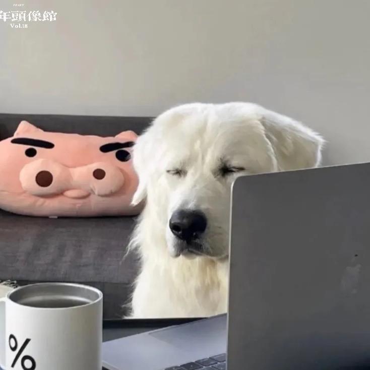 小天爱喝酒
