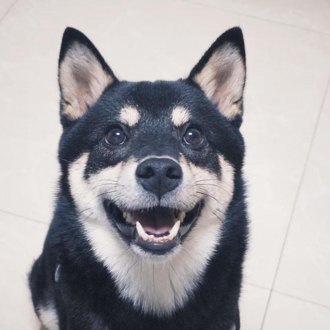 阿正（三角洲行动）