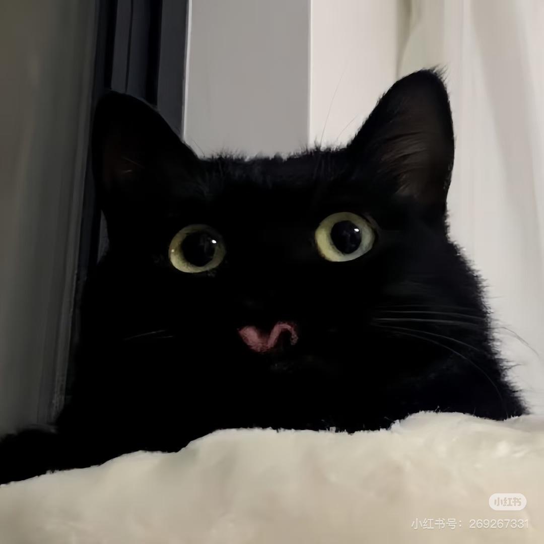 l.
