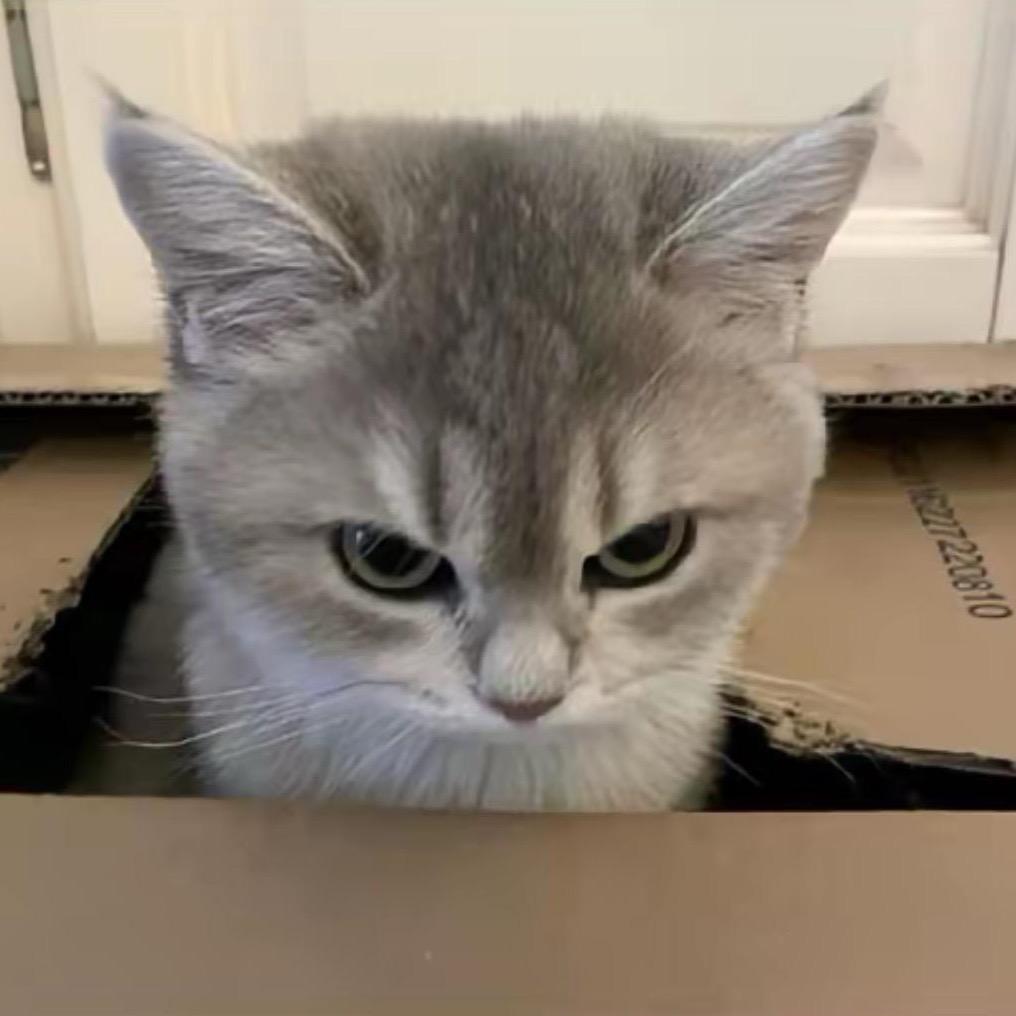 ㅤㅤ⠀ 20年的冬