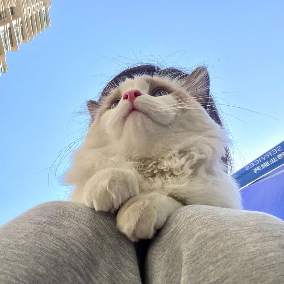 下次一定🕊️
