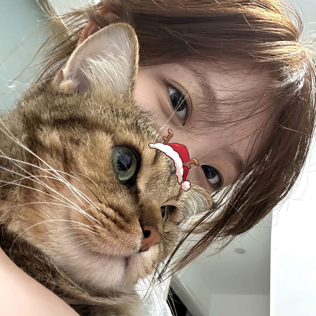 脆皮狗爪咋下楼梯¿