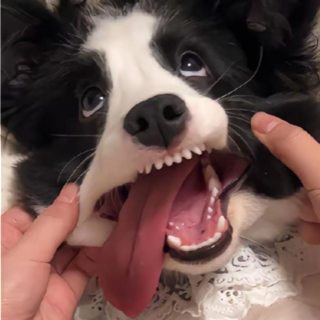 姜姜