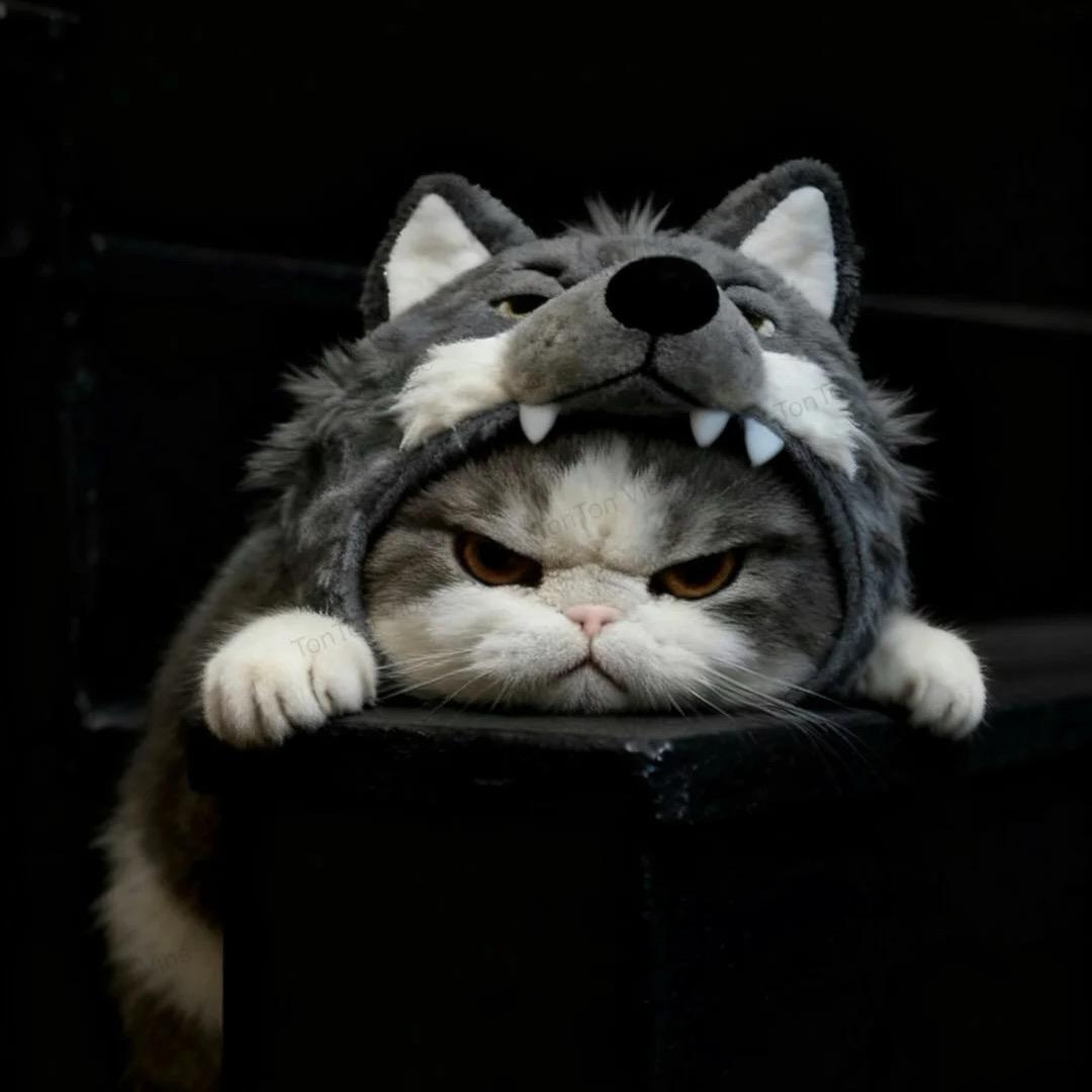 拿铁（12.20 ˗ˋˏ🎂ˎˊ˗ ）