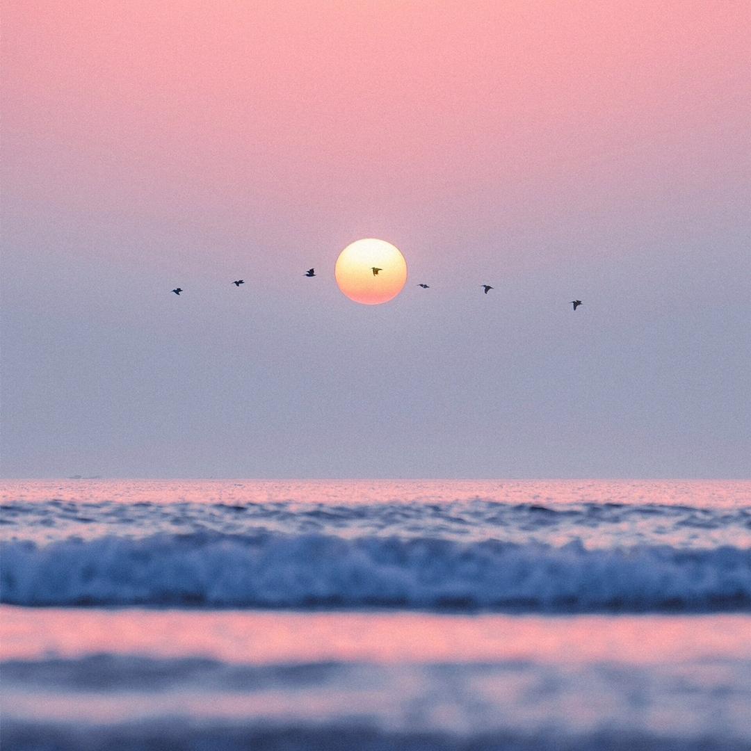 岳麓山思文居士