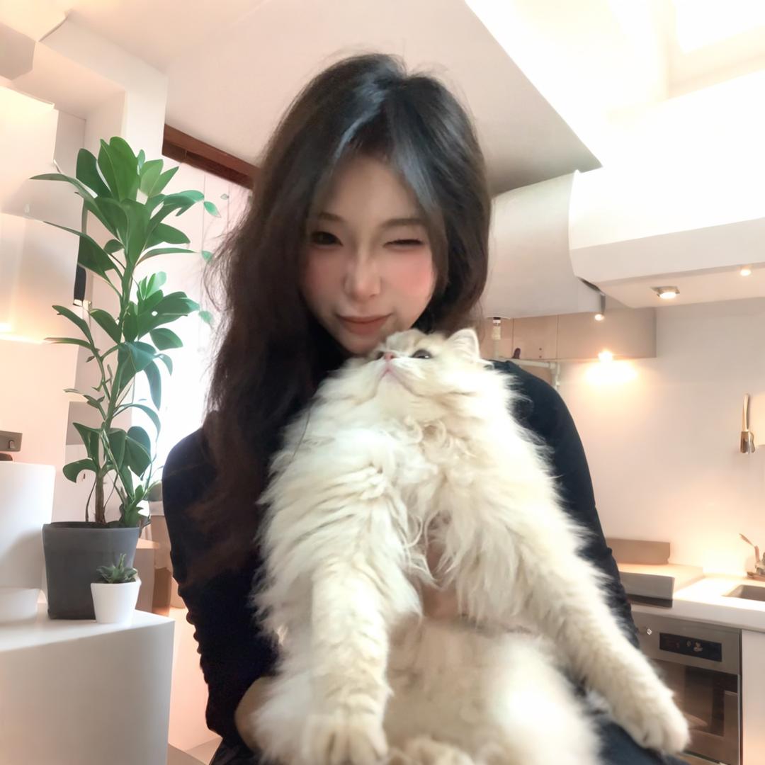 香克夏
