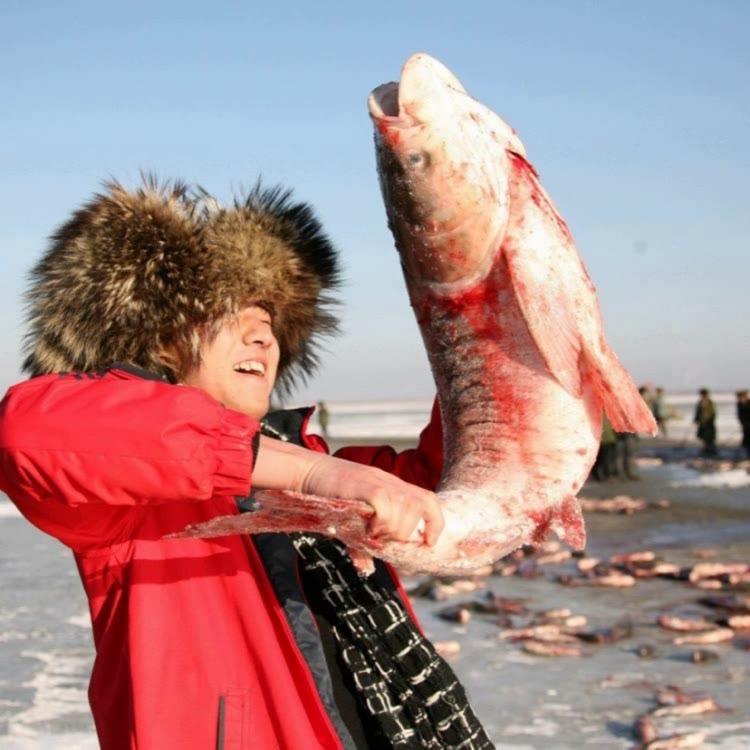 小李子（好物推荐官）@抖音