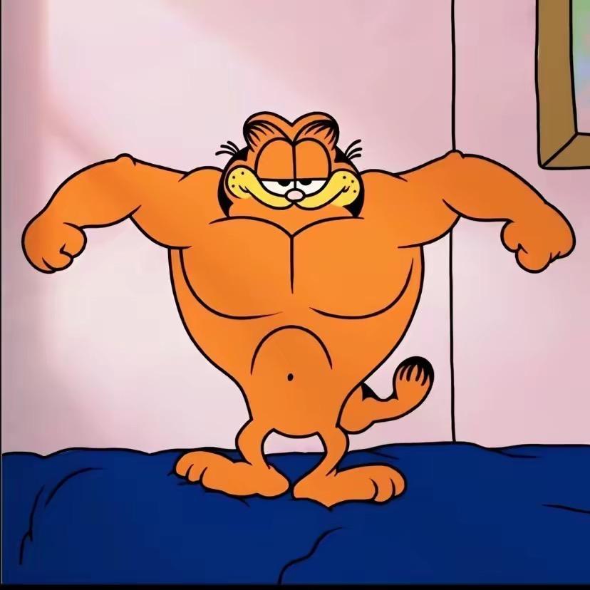 加菲猫