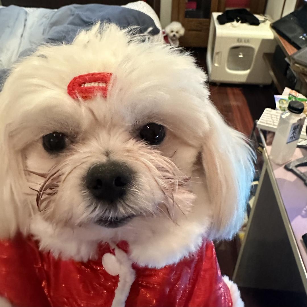 Cling电竞（杭州）