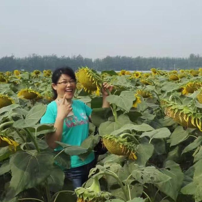 半夏（口播首播   每日早5:10）