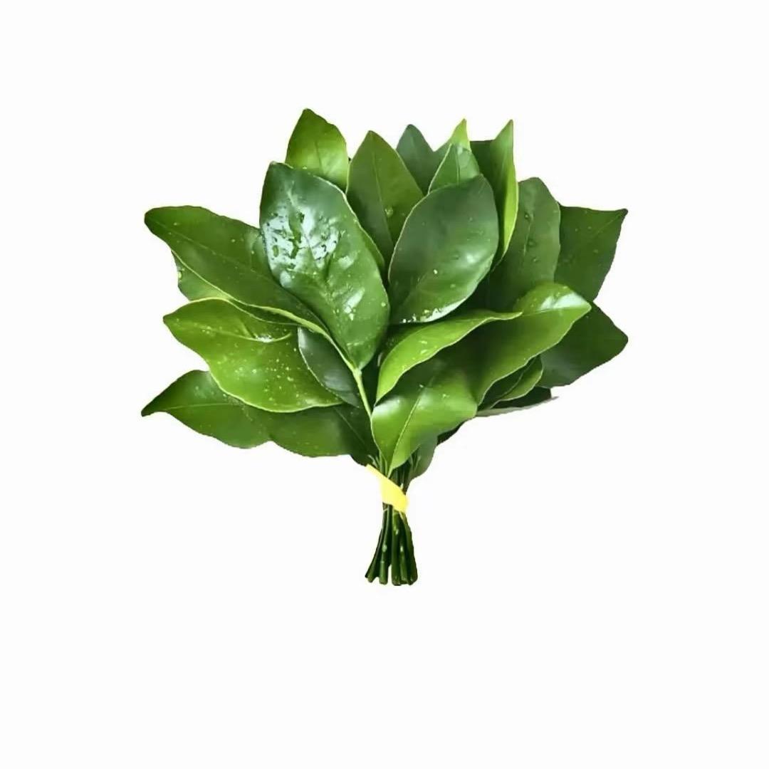 還會想起我嗎