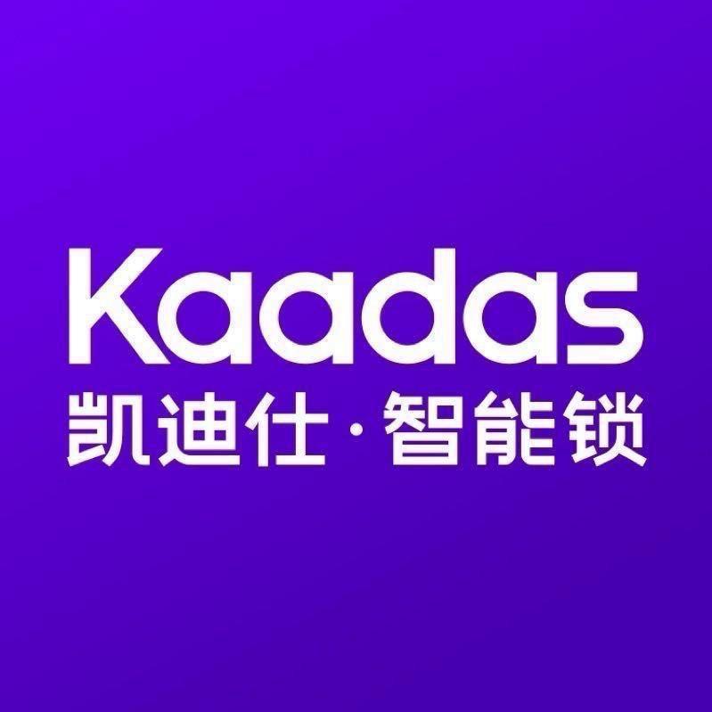 凯迪仕·智能锁（石狮世茂店）