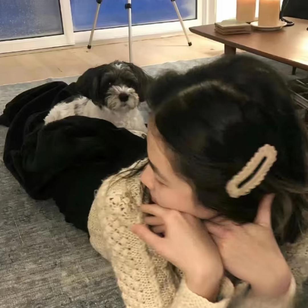 我是少爷.