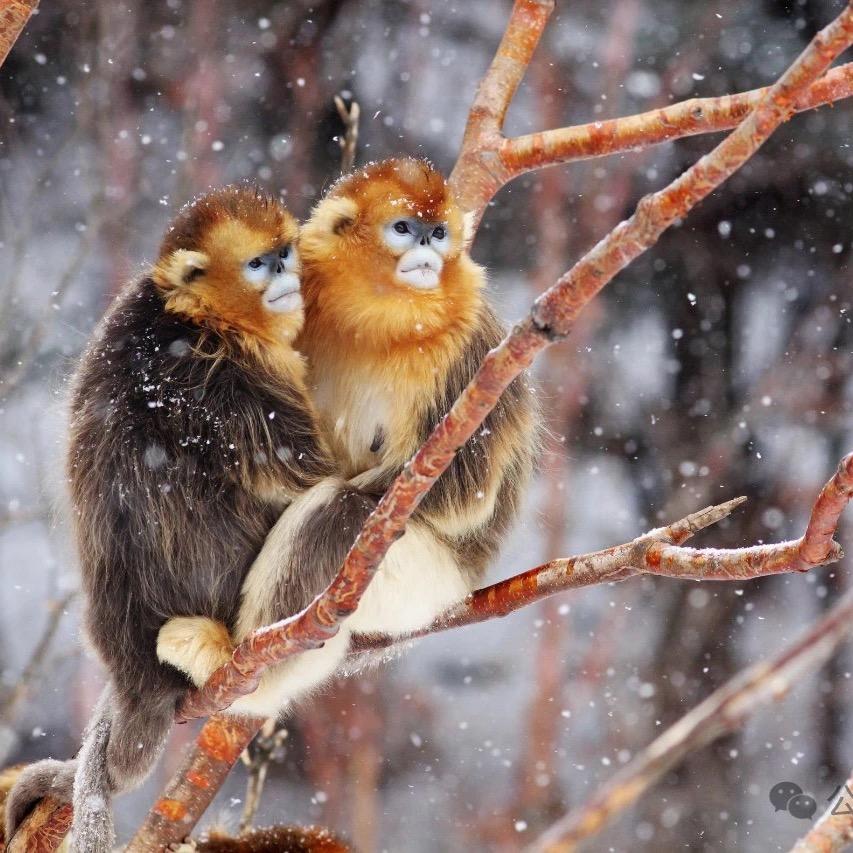 神农架荣逸精致酒店官方号