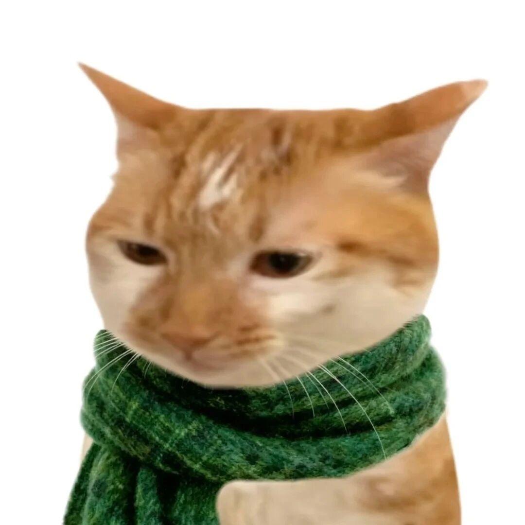小 怪